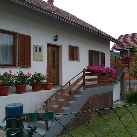 Apartman Nina Licko Petrovo Selo Екстер'єр фото