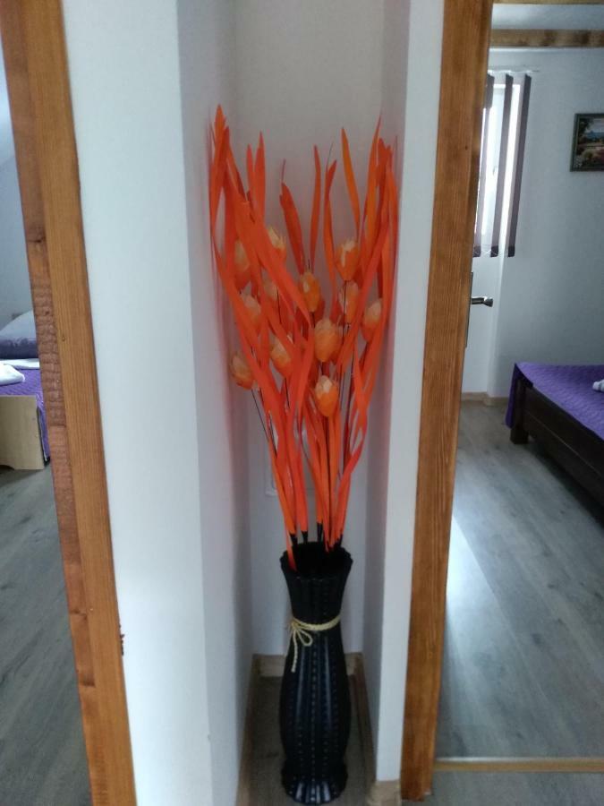 Apartman Nina Licko Petrovo Selo Екстер'єр фото
